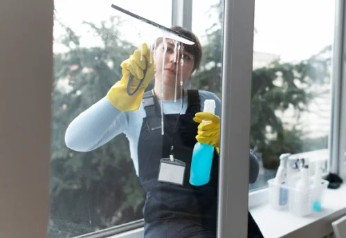 Nettoyage de vitres intérieures et extérieures à la Gripperie-Saint-Symphorien